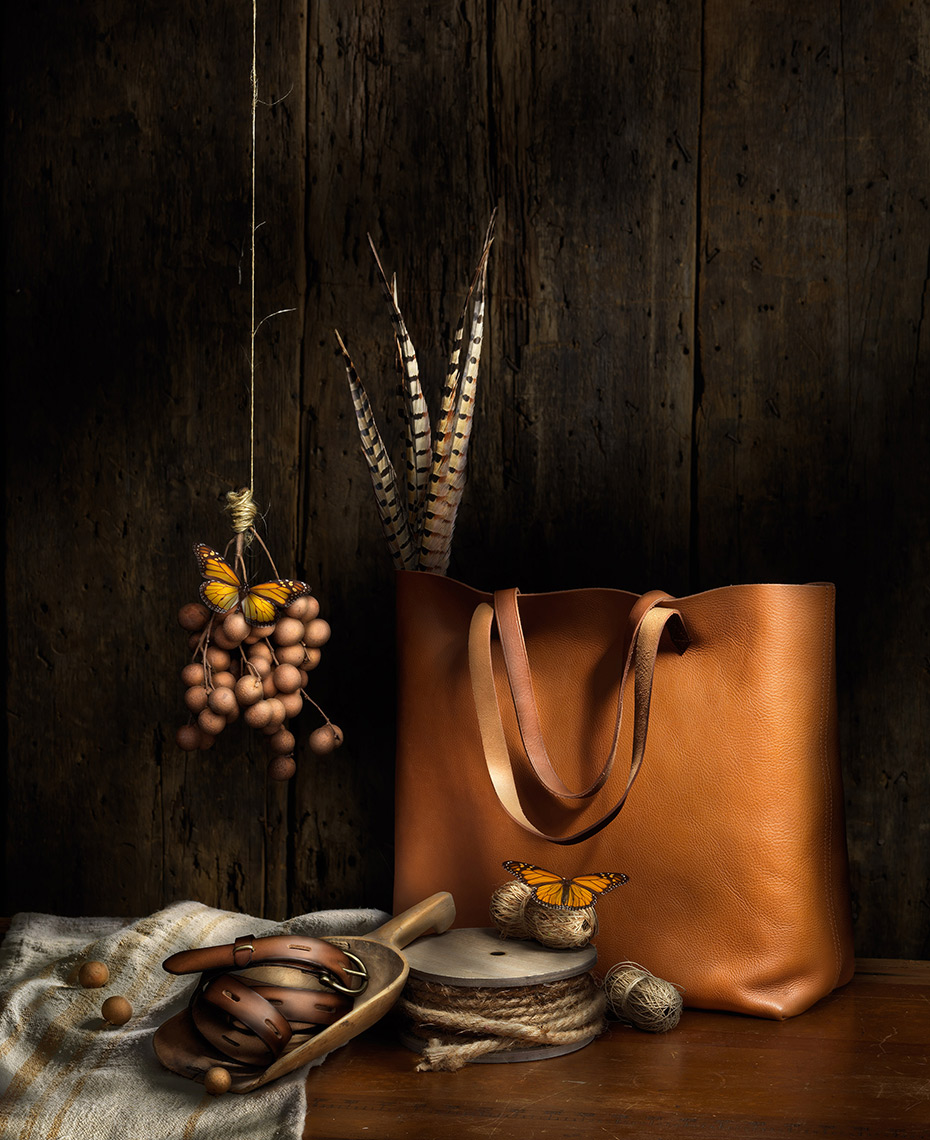 Bag painting with light by Boston